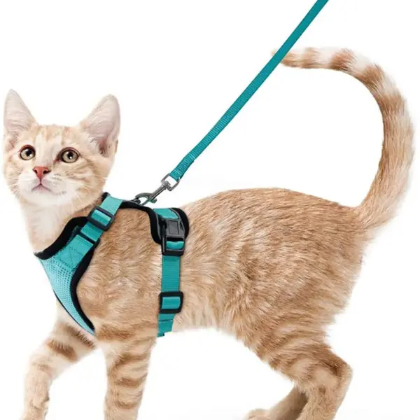 Cat Harness and Leash for Walking