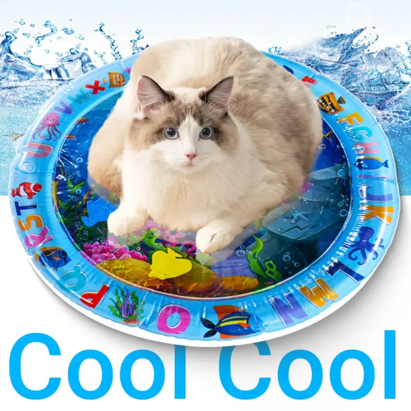 Cat Playing Water Mat Sensory - Image 2