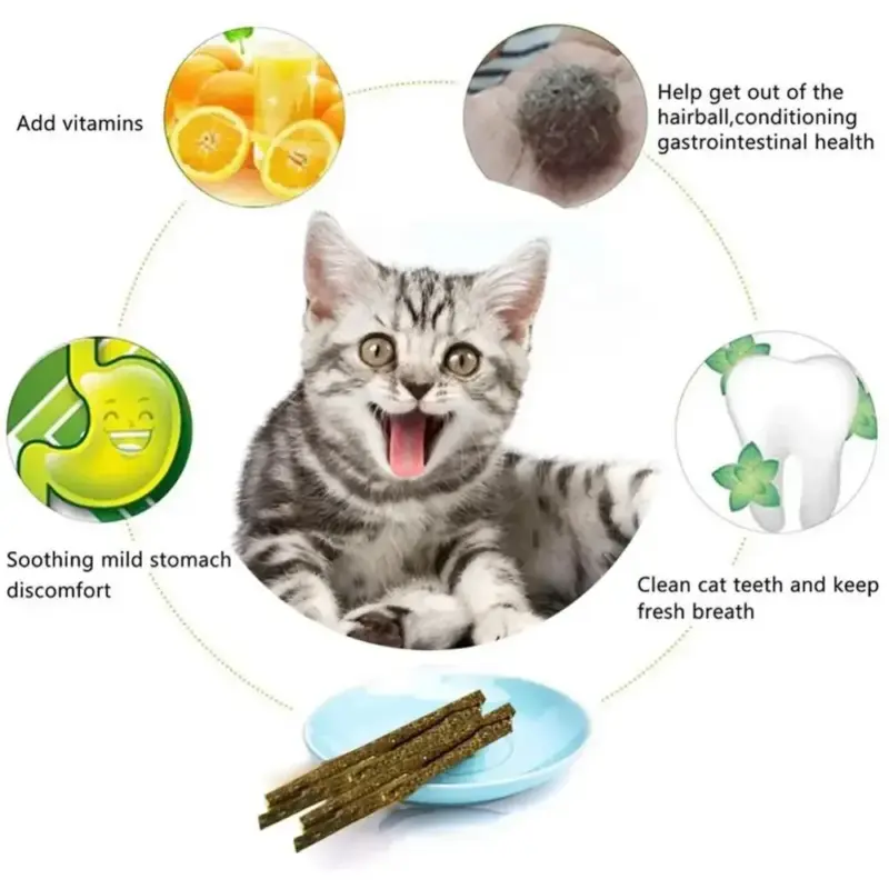 6pcs Natural Matatabi Cat Stick Mint - Image 6
